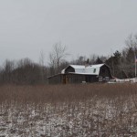 long elevation 900 pixels